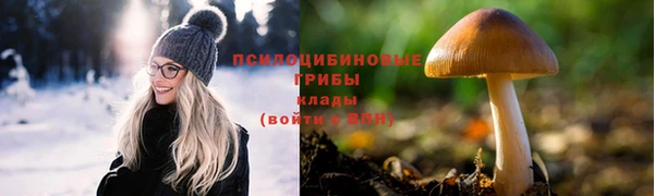 трава Михайловск