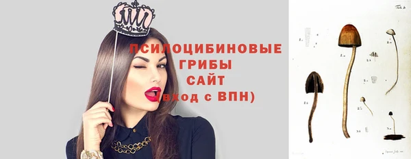 бутират Михайлов
