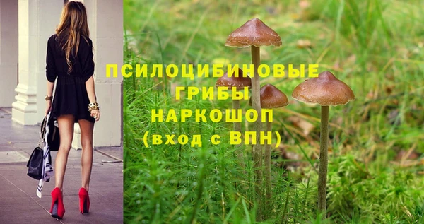 бутират Михайлов