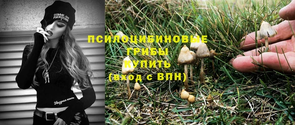 бутират Михайлов