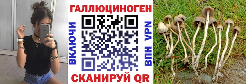 сколько стоит Тюмень OMG ONION Галлюциногенные грибы мухоморы