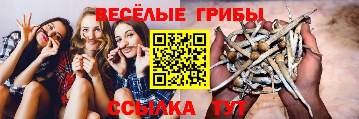 Галлюциногенные грибы MAGIC MUSHROOMS Тюмень